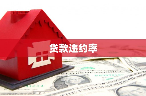民丰贷款违约率