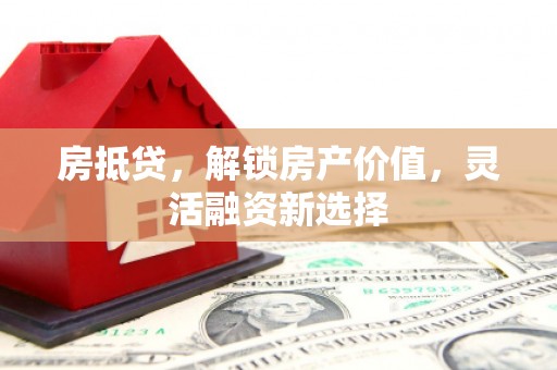 民丰房抵贷，解锁房产价值，灵活融资新选择