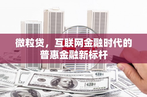 民丰微粒贷，互联网金融时代的普惠金融新标杆