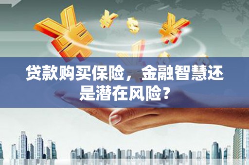 民丰贷款购买保险，金融智慧还是潜在风险？