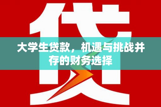 民丰大学生贷款，机遇与挑战并存的财务选择