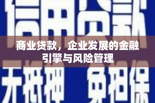 民丰商业贷款，企业发展的金融引擎与风险管理
