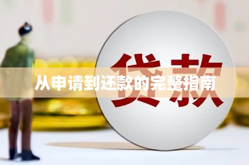 民丰从申请到还款的完整指南