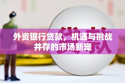 民丰外资银行贷款，机遇与挑战并存的市场新宠