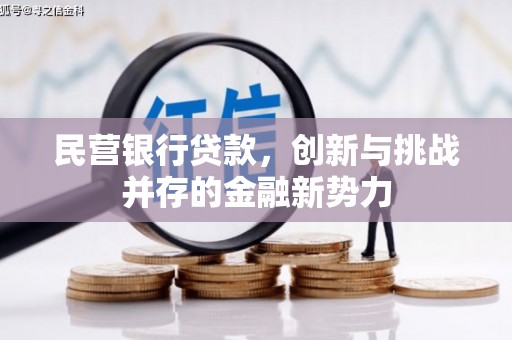 民丰民营银行贷款，创新与挑战并存的金融新势力