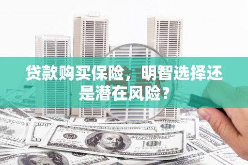 民丰贷款购买保险，明智选择还是潜在风险？