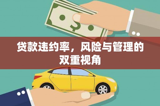 民丰贷款违约率，风险与管理的双重视角