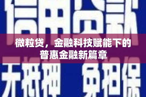 民丰微粒贷，金融科技赋能下的普惠金融新篇章
