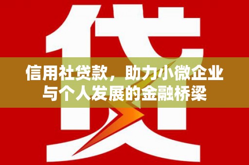 民丰信用社贷款，助力小微企业与个人发展的金融桥梁