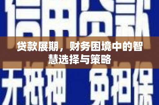 民丰贷款展期，财务困境中的智慧选择与策略