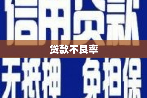 民丰贷款不良率
