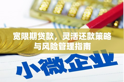 民丰宽限期贷款，灵活还款策略与风险管理指南