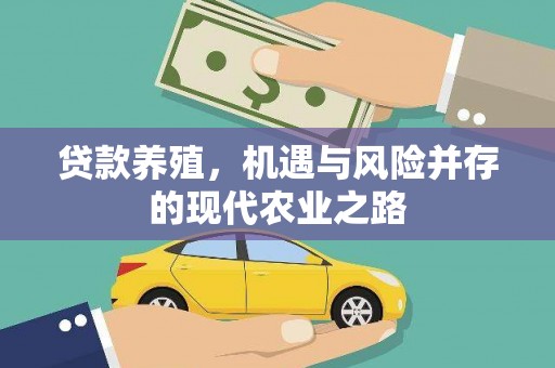民丰贷款养殖，机遇与风险并存的现代农业之路