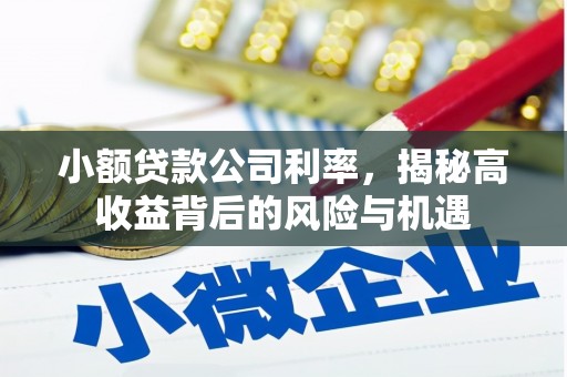 民丰小额贷款公司利率，揭秘高收益背后的风险与机遇