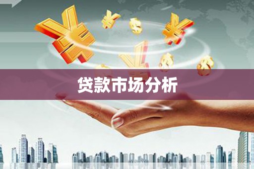 民丰贷款市场分析