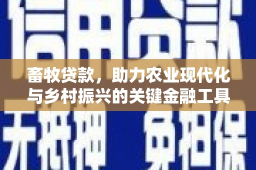 民丰畜牧贷款，助力农业现代化与乡村振兴的关键金融工具