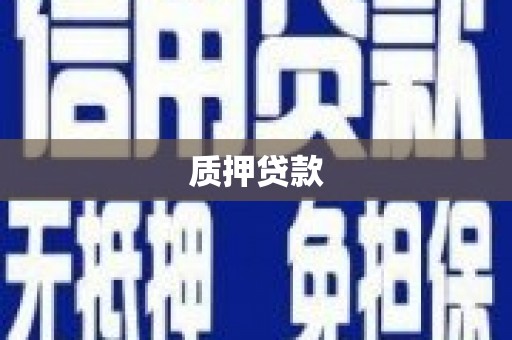 民丰质押贷款