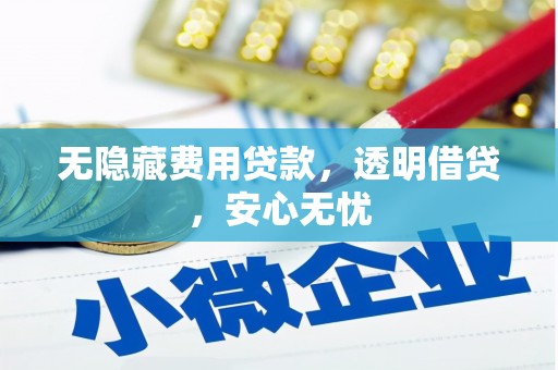 民丰无隐藏费用贷款，透明借贷，安心无忧
