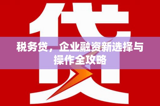 民丰税务贷，企业融资新选择与操作全攻略