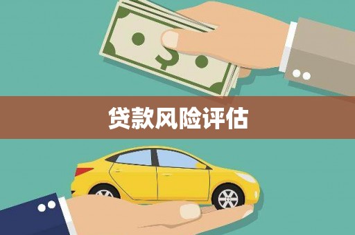 民丰贷款风险评估
