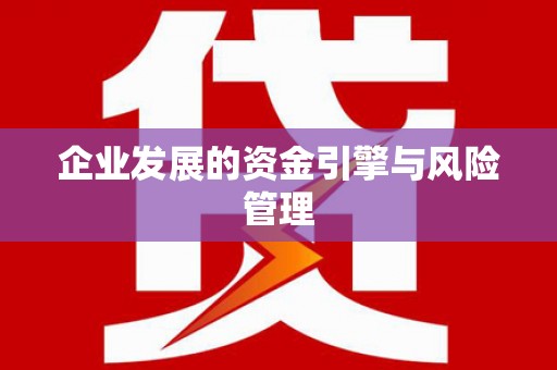 民丰企业发展的资金引擎与风险管理