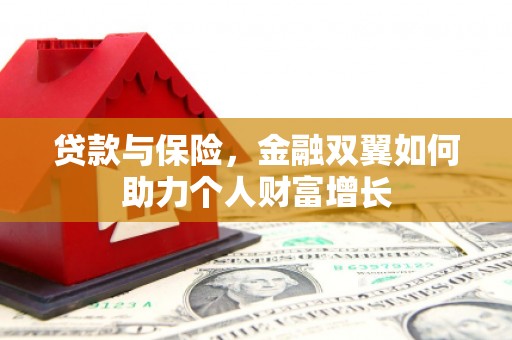 民丰贷款与保险，金融双翼如何助力个人财富增长