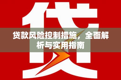 民丰贷款风险控制措施，全面解析与实用指南
