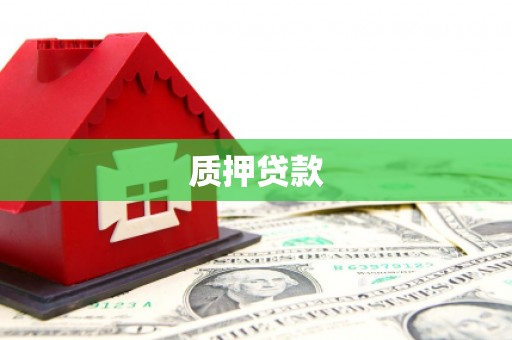 民丰质押贷款