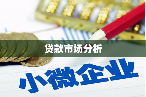民丰贷款市场分析