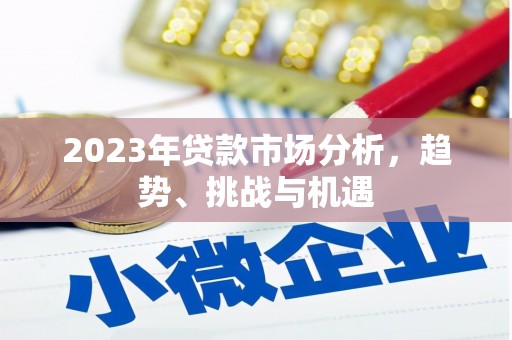 民丰2023年贷款市场分析，趋势、挑战与机遇