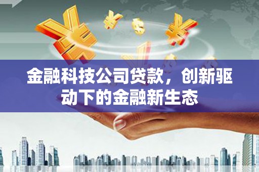 民丰金融科技公司贷款，创新驱动下的金融新生态