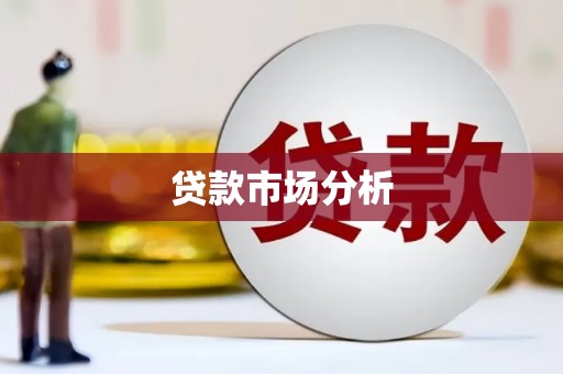 民丰贷款市场分析