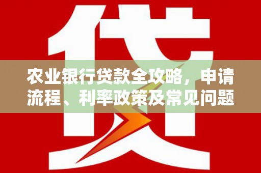 民丰农业银行贷款全攻略，申请流程、利率政策及常见问题解析