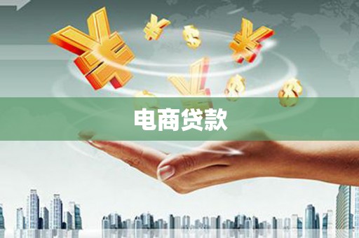 民丰电商贷款