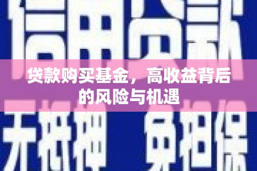 民丰贷款购买基金，高收益背后的风险与机遇