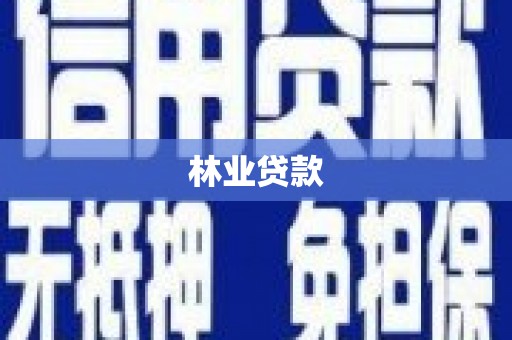 民丰林业贷款