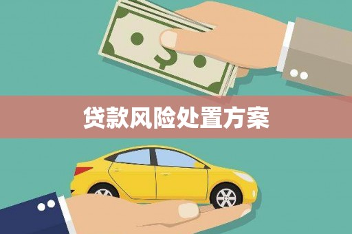 民丰贷款风险处置方案