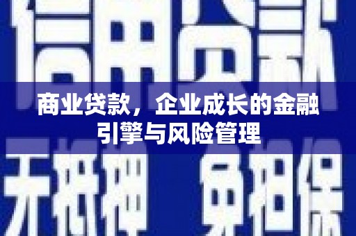 民丰商业贷款，企业成长的金融引擎与风险管理