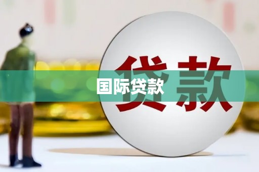 民丰国际贷款