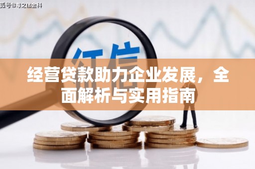 民丰经营贷款助力企业发展，全面解析与实用指南