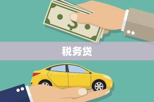 民丰税务贷