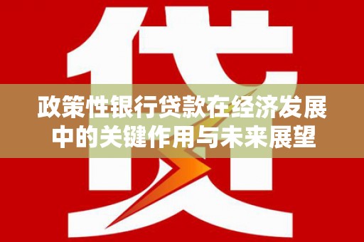 民丰政策性银行贷款在经济发展中的关键作用与未来展望