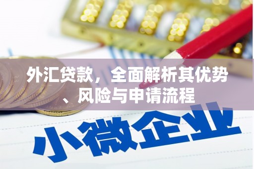 民丰外汇贷款，全面解析其优势、风险与申请流程