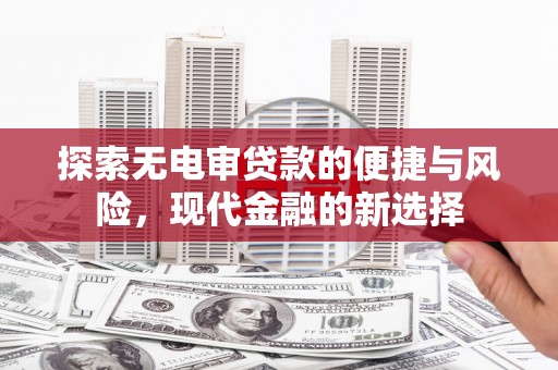 民丰探索无电审贷款的便捷与风险，现代金融的新选择