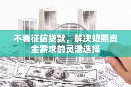 民丰不看征信贷款，解决短期资金需求的灵活选择