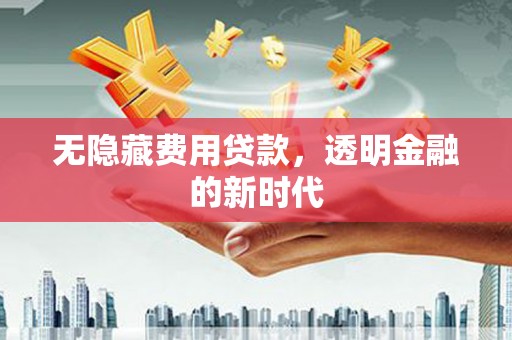 民丰无隐藏费用贷款，透明金融的新时代