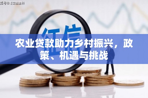 民丰农业贷款助力乡村振兴，政策、机遇与挑战