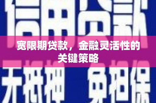 民丰宽限期贷款，金融灵活性的关键策略