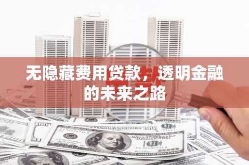 民丰无隐藏费用贷款，透明金融的未来之路