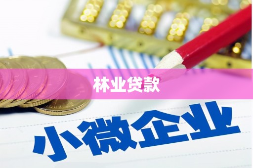 民丰林业贷款
